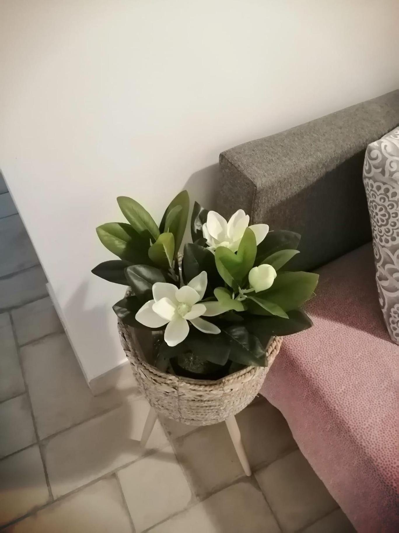 Il Vicoletto Sul Castello Apartman Nápoly Kültér fotó
